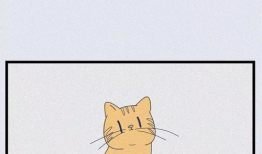 流浪猫漫画,流浪猫的温馨漫画故事