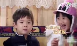 吃瓜八卦娱乐圈真的乱,吃瓜八卦背后的真实乱象